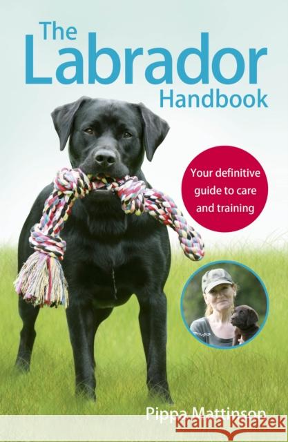 The Labrador Handbook: The definitive guide to training and caring for your Labrador