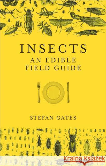 Insects: An Edible Field Guide