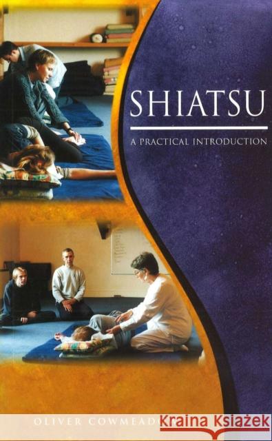 Shiatsu An Introductory Guide to the Technique and its Benefits