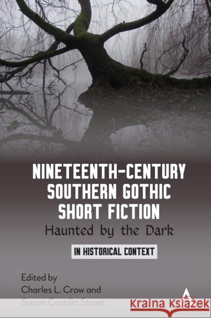 Nineteenth-Century Southern Gothic Short Fiction: Haunted by the Dark