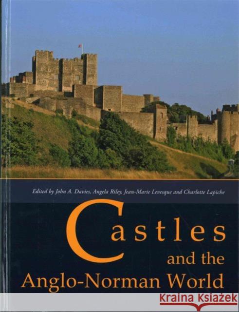 Castles and the Anglo-Norman World: Proceedings of a Conference Held at Norwich Castle in 2012