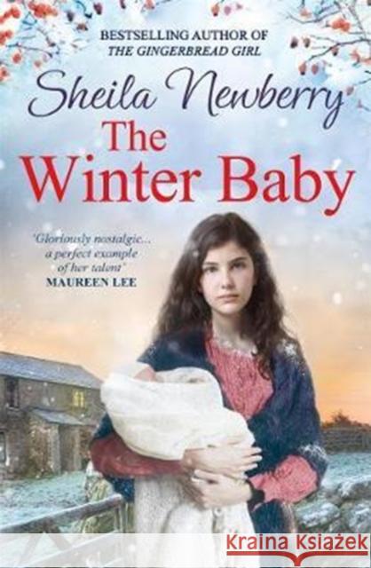 The Winter Baby: A perfect, heartwarming winter story from the Queen of Family Saga