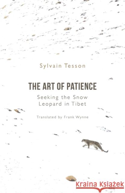 The Art of Patience: Seeking the Snow Leopard in Tibet