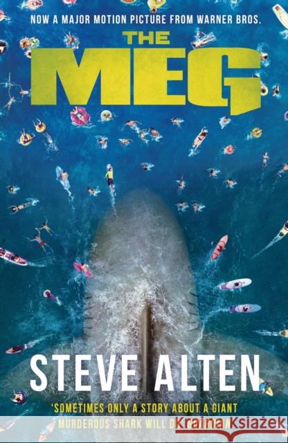 The MEG