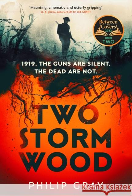 Two Storm Wood: Uncover an unsettling mystery of World War One in the The Times Thriller of the Year