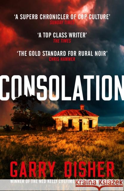 Consolation: Constable Hirsch Mysteries 3