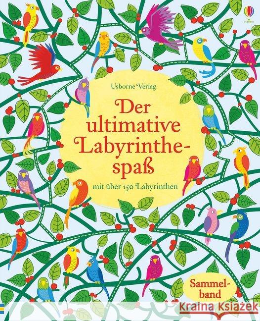 Der ultimative Labyrinthespaß : Mit über 250 Labyrinthe