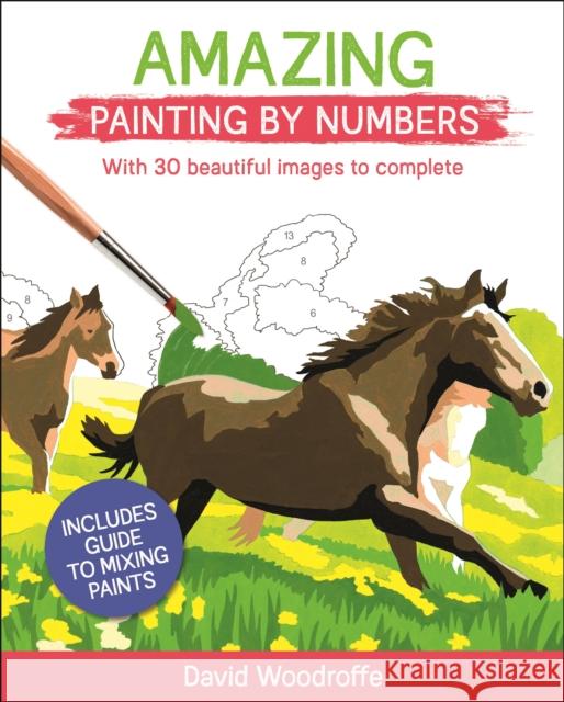 Amazing Painting by Numbers: With 30 Beautiful Images to Complete. Includes Guide to Mixing Paints