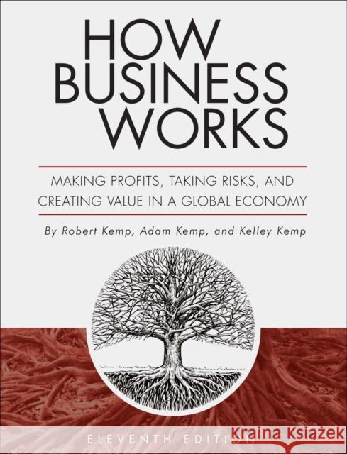 How Business Works: Making Profits, Taking Risks, and Creating Value in a Global Economy