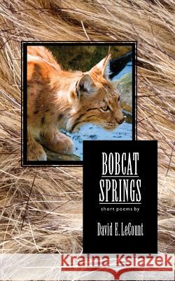 Bobcat Springs