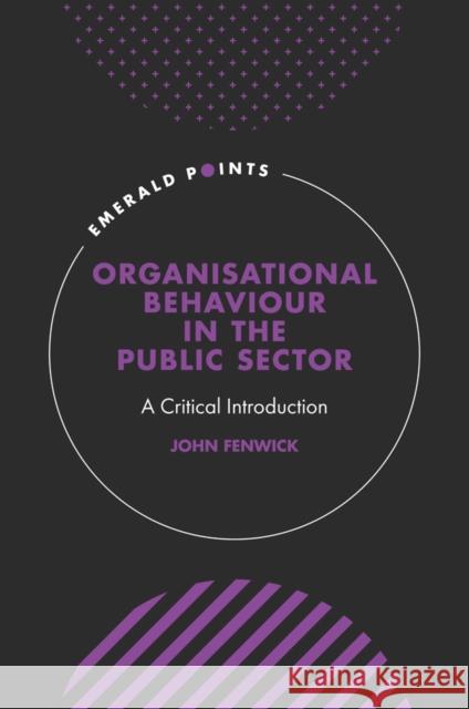 Organisational Behaviour in the Public Sector: A Critical Introduction