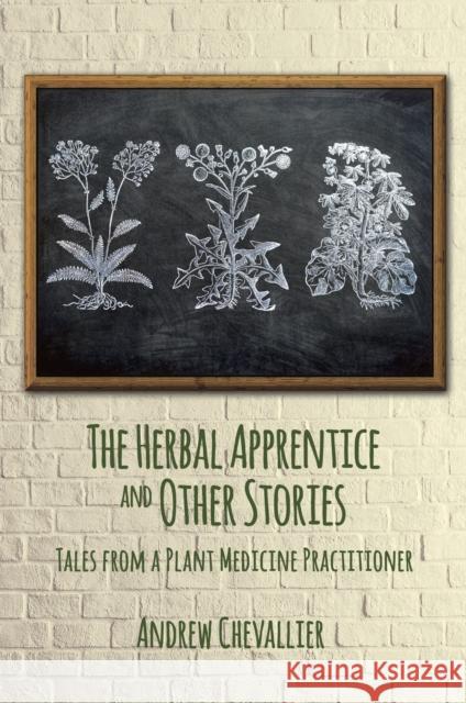 The Herbal Apprentice and Other Stories: Tales from a Plant Medicine Practitioner
