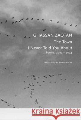 The Town I Never Told You About: Poems, 2022–2024