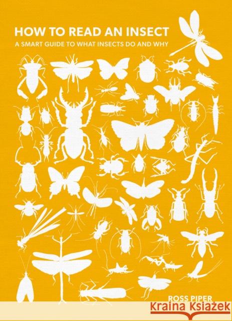 How to Read an Insect: A Smart Guide to What Insects Do and Why