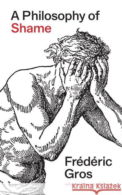 A Philosophy of Shame: A Revolutionary Emotion