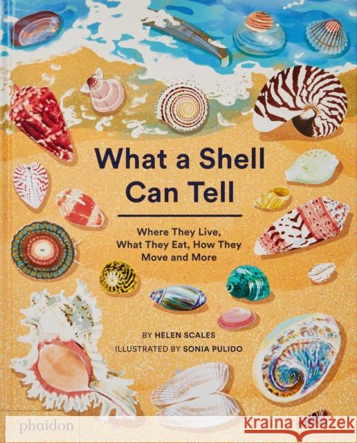 What A Shell Can Tell