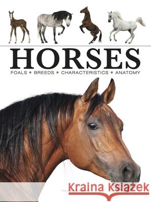 Horses
