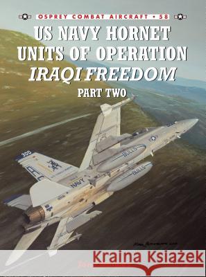 US Navy Hornet Units of Operation Iraqi Freedom (Part Two)