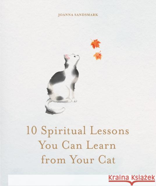 10 Spiritual Lessons You Can Learn from Your Cat: Essential Life Lessons We Can Learn From Our Furry Friend