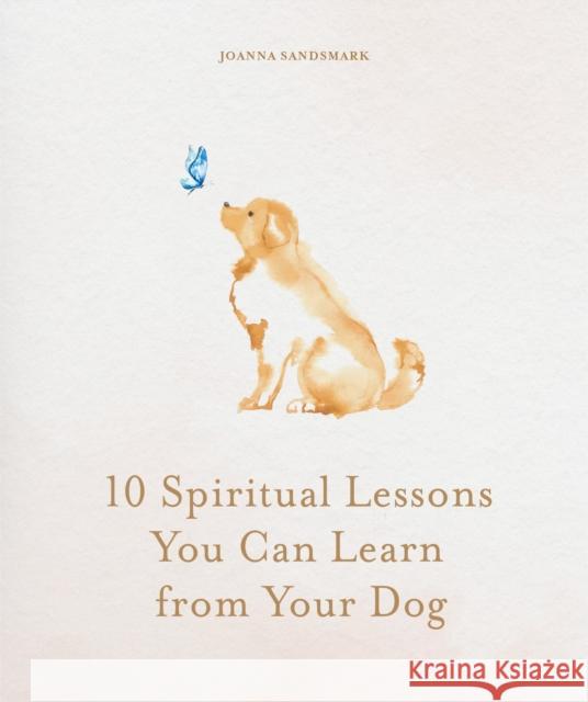 10 Spiritual Lessons You Can Learn from Your Dog: Essential Life Lessons We Can Learn From Our Furry Friend