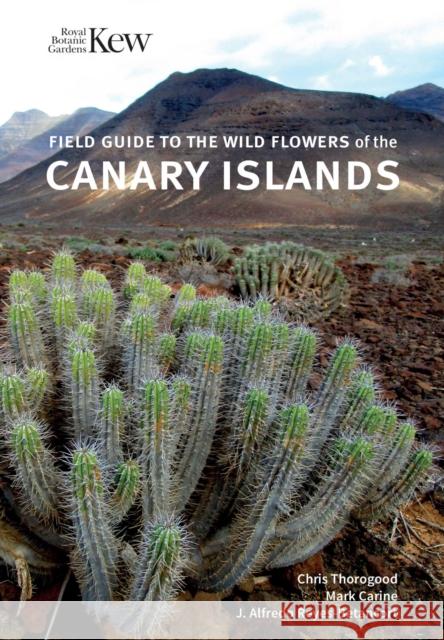 Field Guide to the Wild Flowers of the Canary Islands