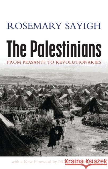 The Palestinians: From Peasants to Revolutionaries