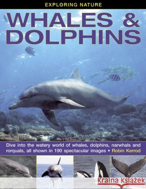 Exploring Nature: Whales & Dolphins: Dive into the Watery World of Whales, Dolphins, Narwhals and Rorquals, All Shown in 190 Spectacular Images