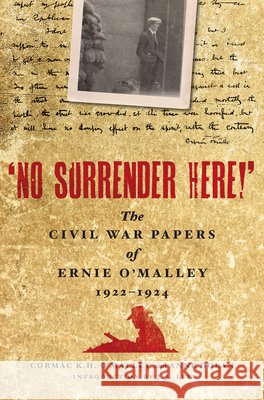 'No Surrender Here!': The Civil War Papers of Ernie O'Malley 1922-1924