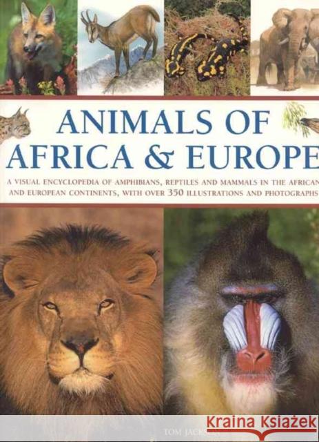 Animals of Africa and Europe