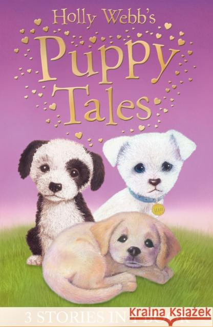 Holly Webb's Puppy Tales: Alfie all Alone, Sam the Stolen Puppy, Max the Missing Puppy