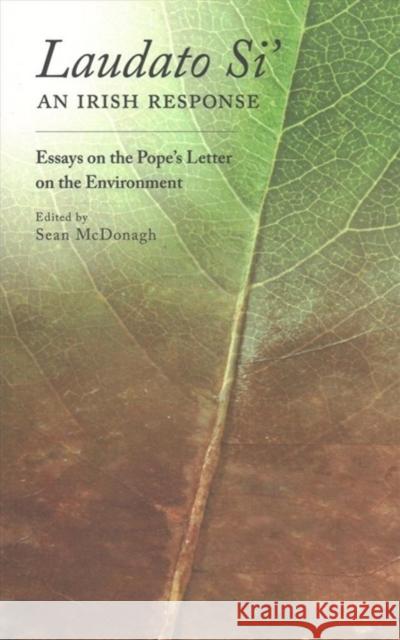 Laudato Si: An Irish Response: Essays on the Pope's Letter on the Environment