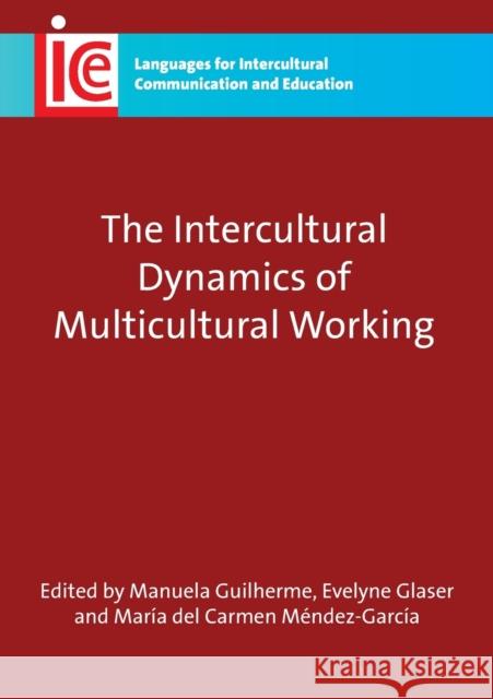 The Intercultural Dynamics of Multicultural Working, 19