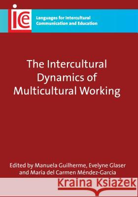 Intercultural Dynamics Multicultural Whb