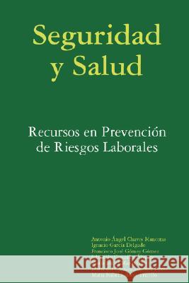 Seguridad Y Salud: Recursos En Prevencion De Riesgos Laborales