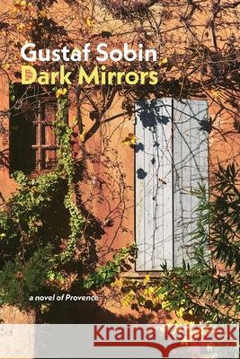 Dark Mirrors