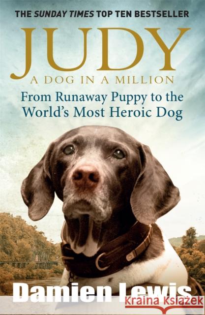 Judy: A Dog in a Million: From Runaway Puppy to the World's Most Heroic Dog