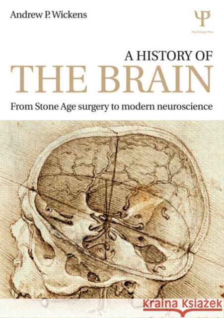 A History of the Brain: From Stone Age Surgery to Modern Neuroscience