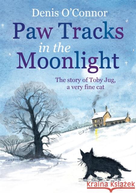 Paw Tracks in the Moonlight