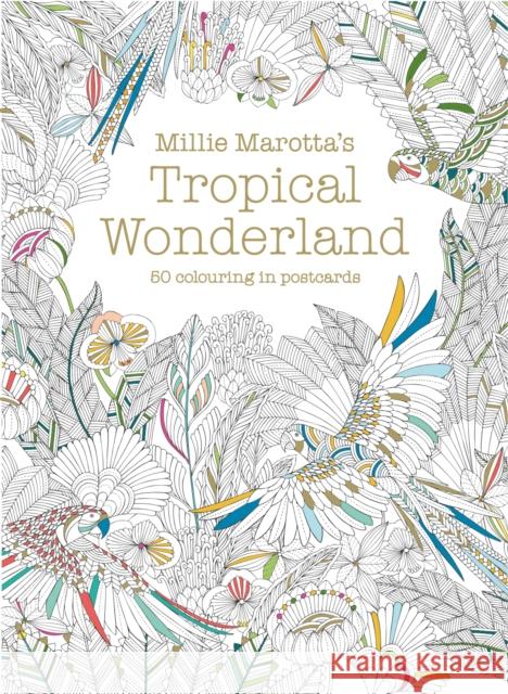 Millie Marotta's Tropical Wonderland Postcard Box: 50 beautiful cards for colouring in