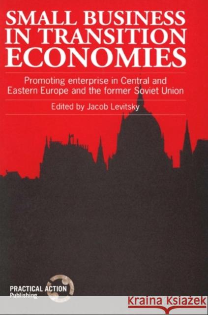 Small Business in Transition Economies: Promoting Enterprise in Central and Eastern Europe and the Former Soviet Union