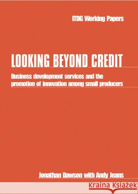 Looking Beyond Credit: Business Development Services and the Promotion of Innovation Among Small Producers