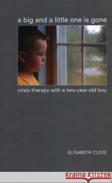 A Big and a Little One Is Gone: Crisis Therapy with a Two-Year-Old Boy