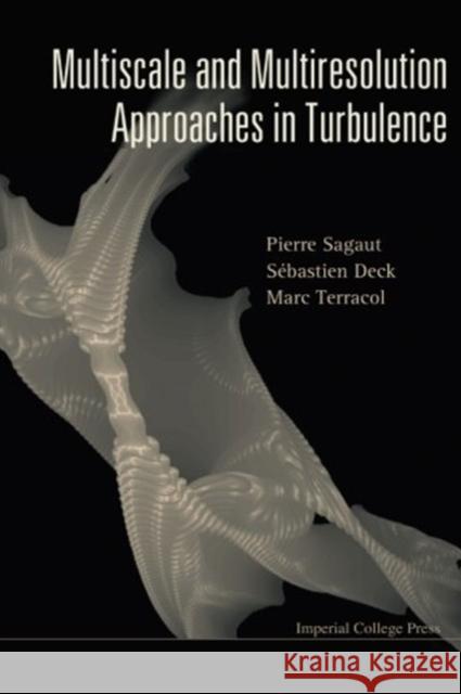 Multiscale and Multiresolution Approaches in Turbulence