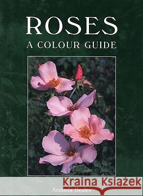 Roses: A Colour Guide