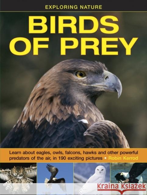 Exploring Nature: Birds of Prey