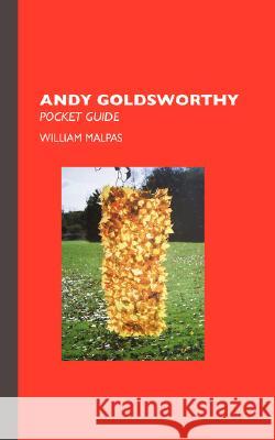 Andy Goldsworthy