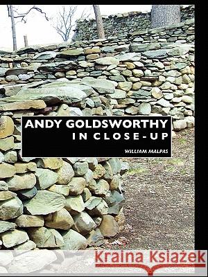 Andy Goldsworthy in Close-up