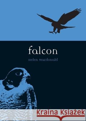 Falcon