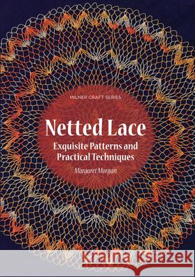 Netted Lace: Techniques and Patterns