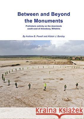 Between and Beyond the Monuments: Prehistoric Activity on the Downlands South-East of Amesbury.